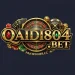 Qaidi804 Game