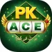 PKACE Game